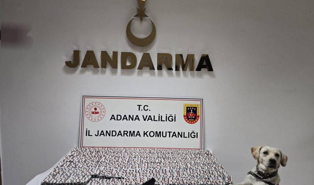 Adana’da jandarma ekipleri düzenlediği