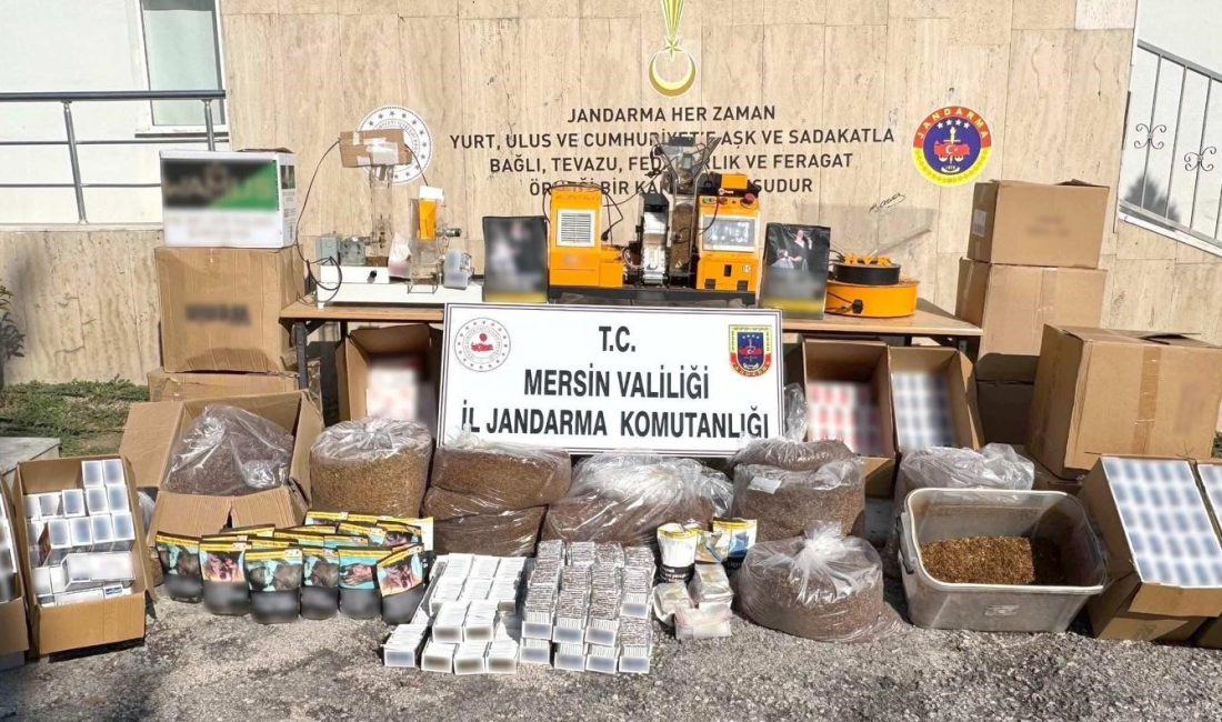 Mersin’de jandarma ekiplerince düzenlenen