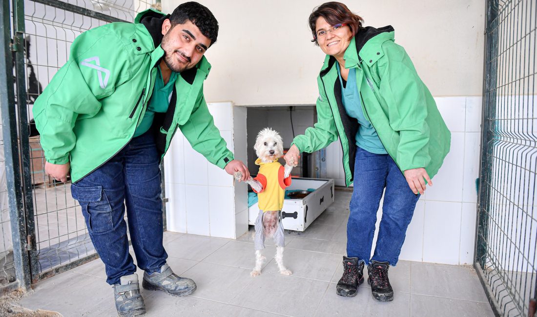 Mersin’de büyükşehir belediyesi bünyesinde