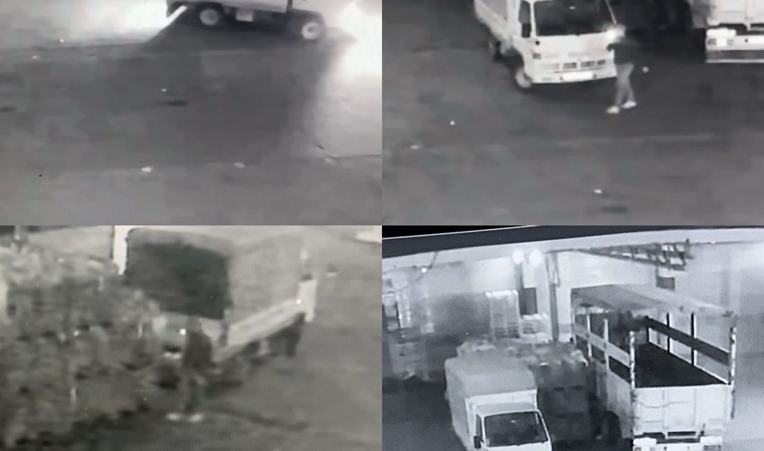 Mersin Yaş Sebze ve