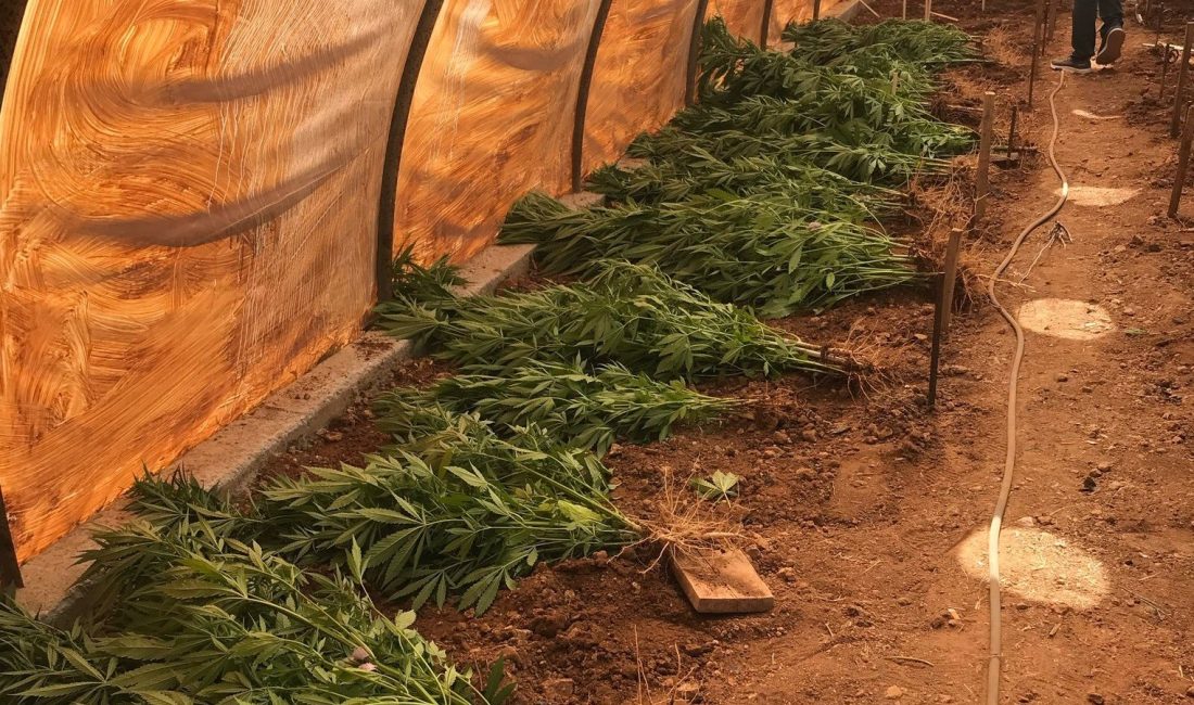 Mersin’in Aydıncık ilçesinde, evinin