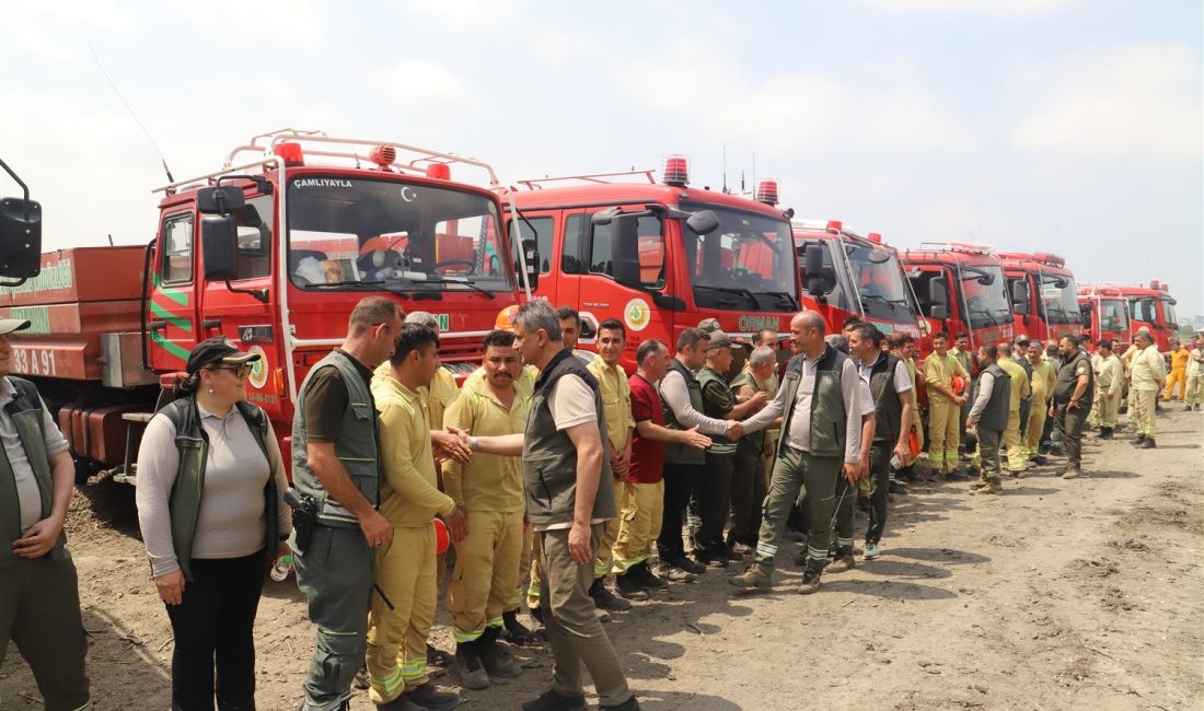 Mersin Orman Bölge Müdürlüğüne