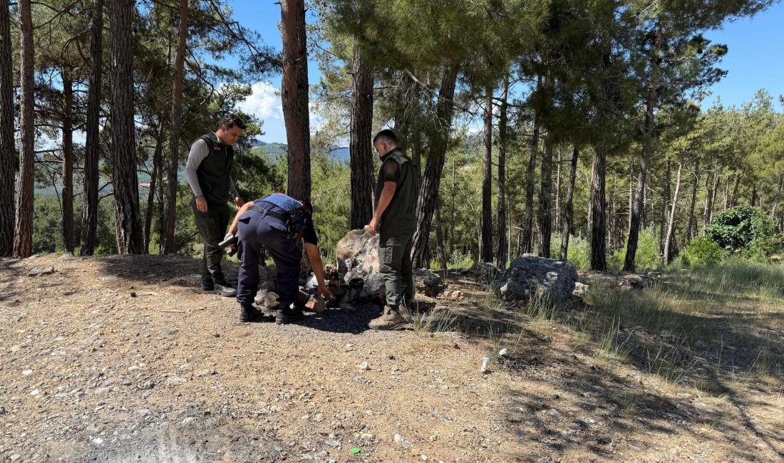 Mersin’in Tarsus ilçesi Çamalan’da