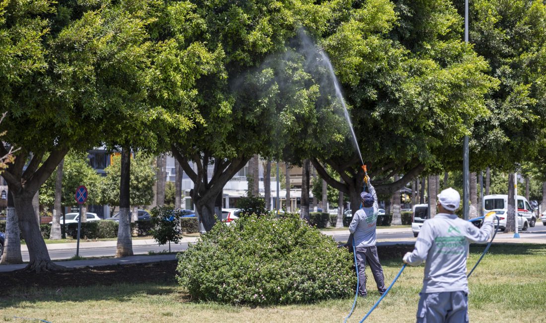 Mersin Büyükşehir Belediyesi, vatandaşların
