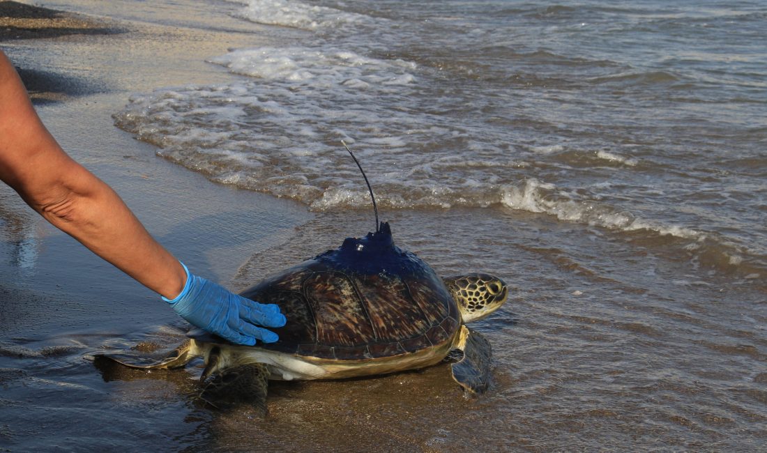 Mersin Üniversitesi’nin uydu ile