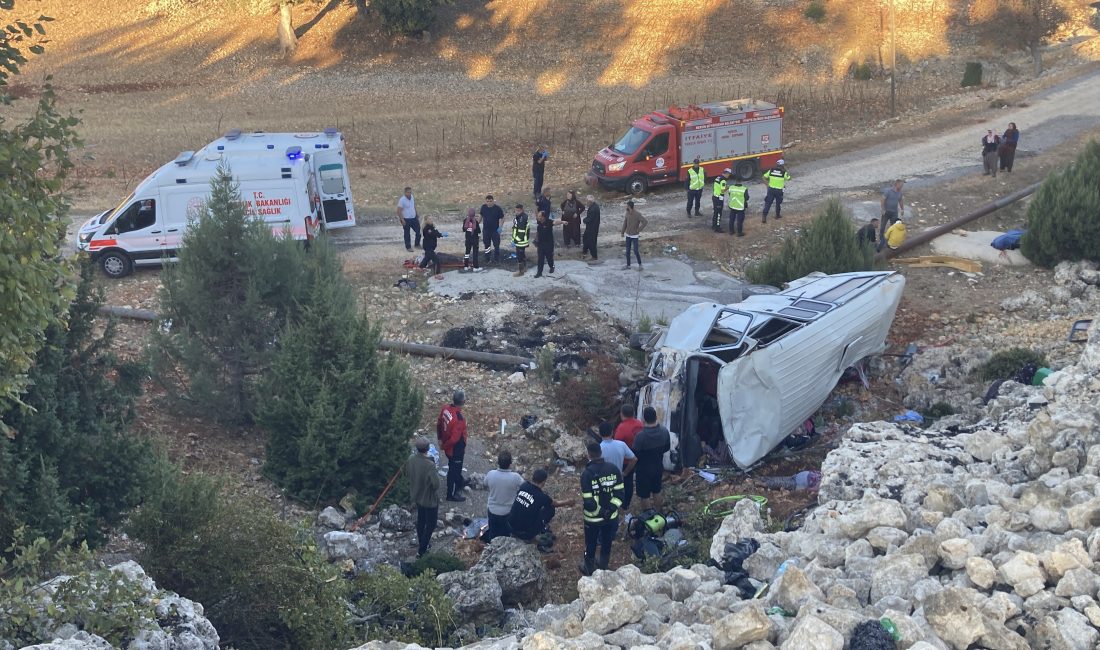 Mersin’in Erdemli ilçesinde tarım