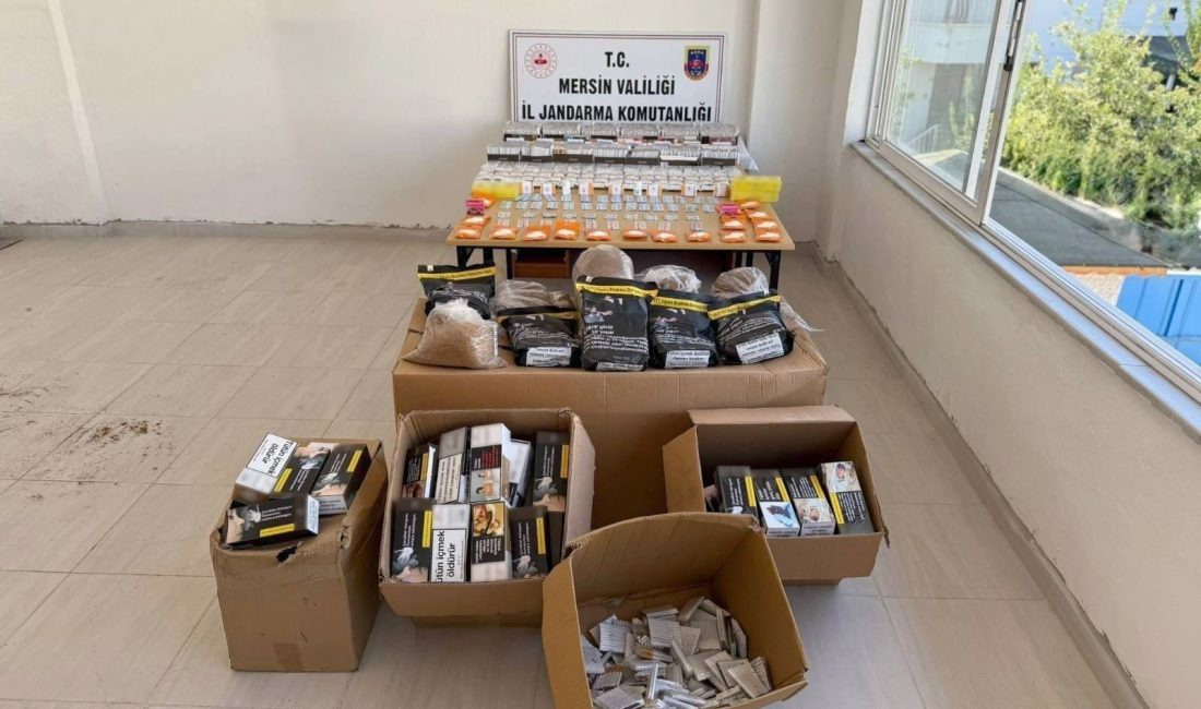 Mersin’de jandarma tarafından yapılan