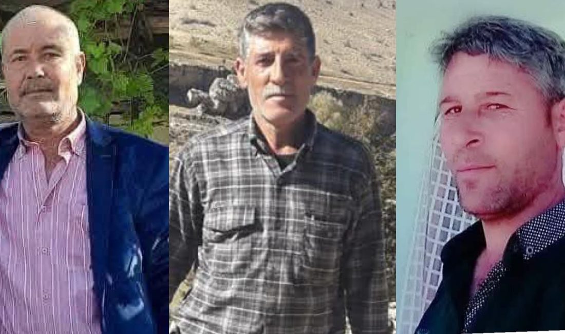 Mersin'in Gülnar ilçesinde meydana