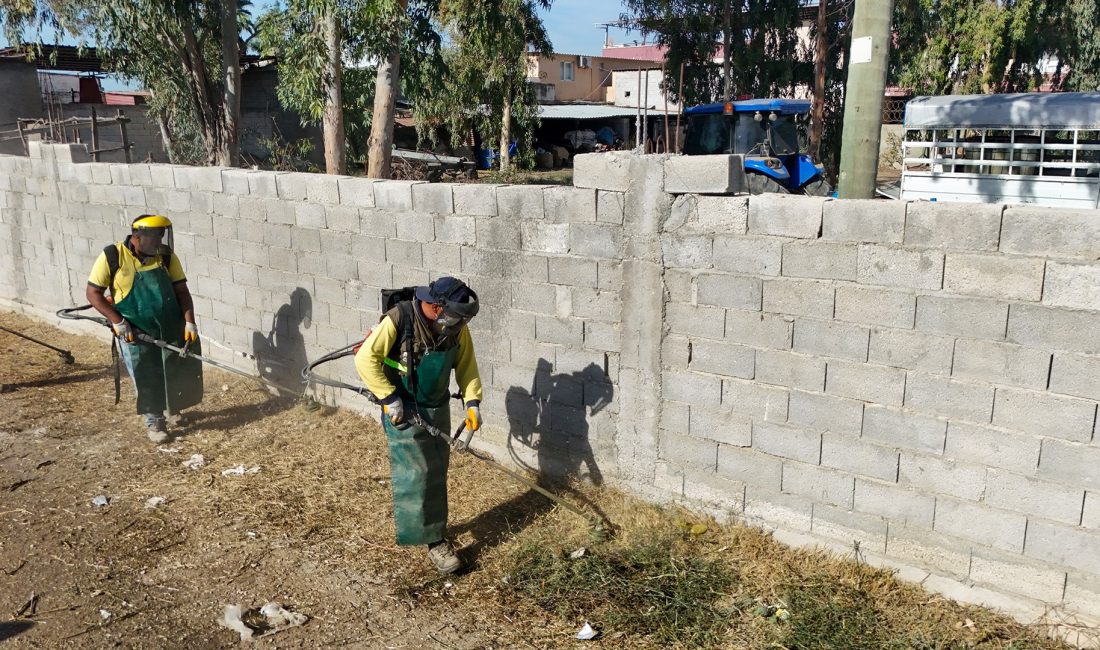 Tarsus Belediyesi Park ve