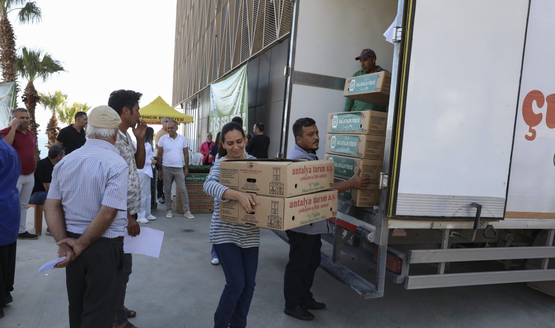 Mersin Büyükşehir Belediyesi, Aydıncık’ta