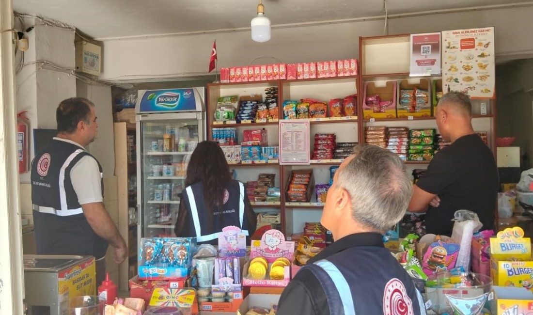 Mersin’de tüketici denetimleri: 978