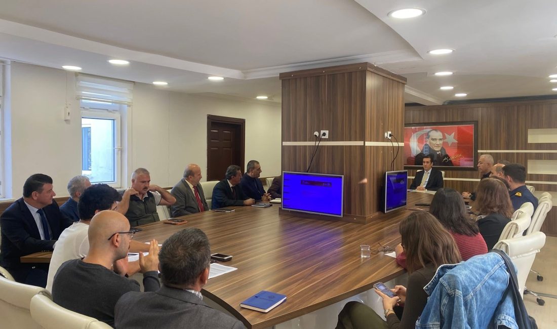 Mersin'in Bozyazı ilçesinde sahipsiz