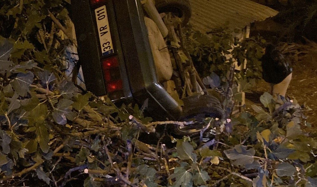 Mersin'in Silifke ilçesinde yoldan