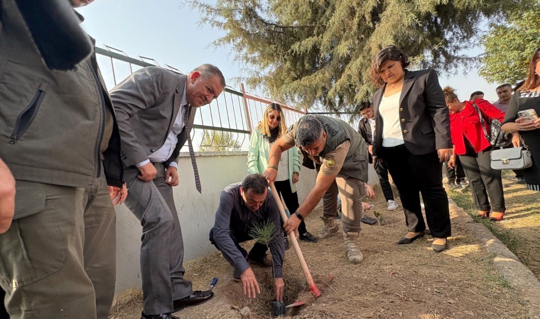 Mersin'de, Toroslar Mesleki Eğitim