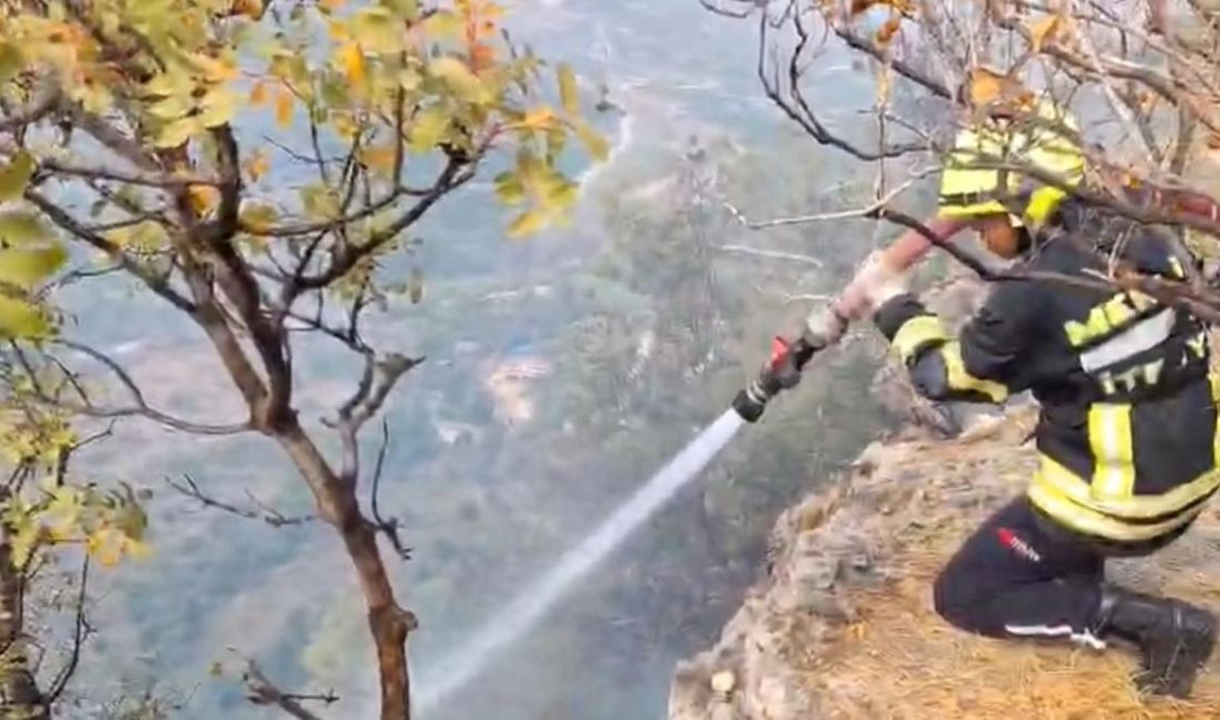 Mersin'in Erdemli ilçesinde makilik