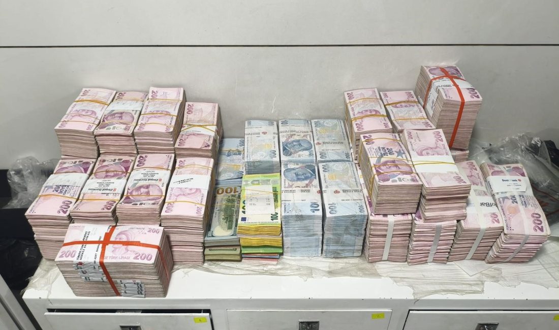 Mersin merkezli 9 ilde