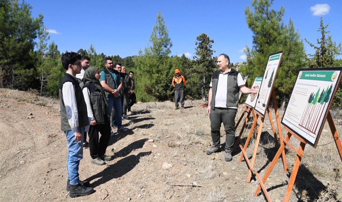 Mersin Orman Bölge Müdürlüğünün