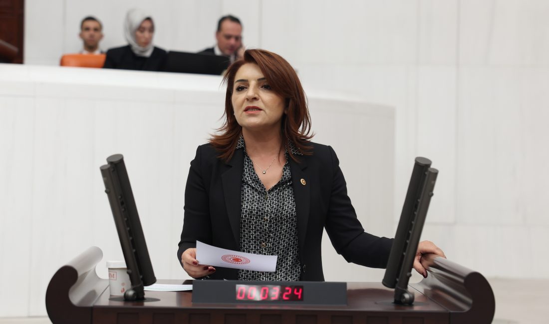 CHP Mersin Milletvekili Gülcan