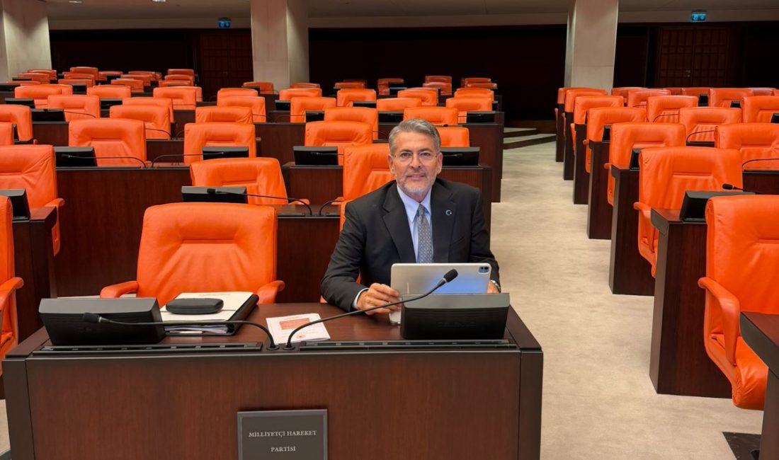 Milliyetçi Hareket Partisi Mersin