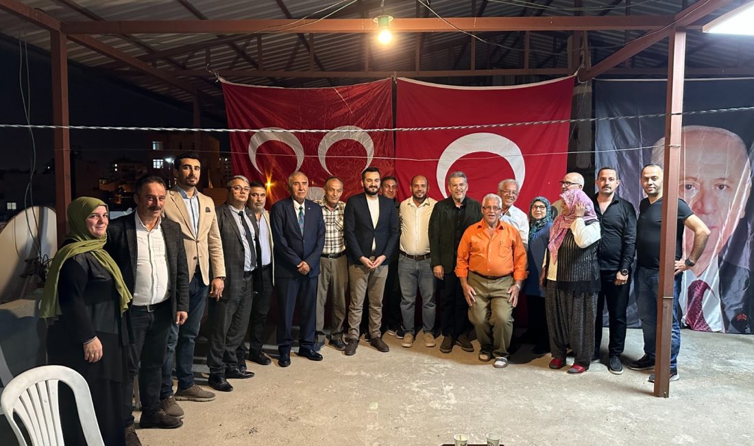 Milliyetçi Hareket Partisi Mersin