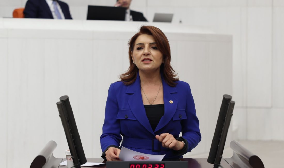 CHP Mersin Milletvekili Gülcan