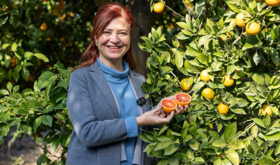 Mersin’in simge tarım ürünlerinden