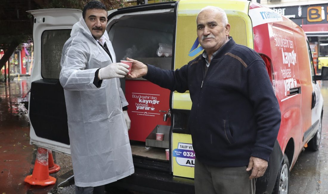 Mersin Büyükşehir Belediyesi, kentin