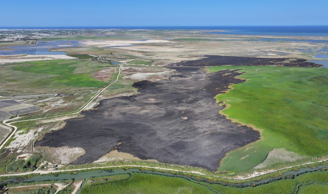 Çevre uzmanı Prof. Dr.