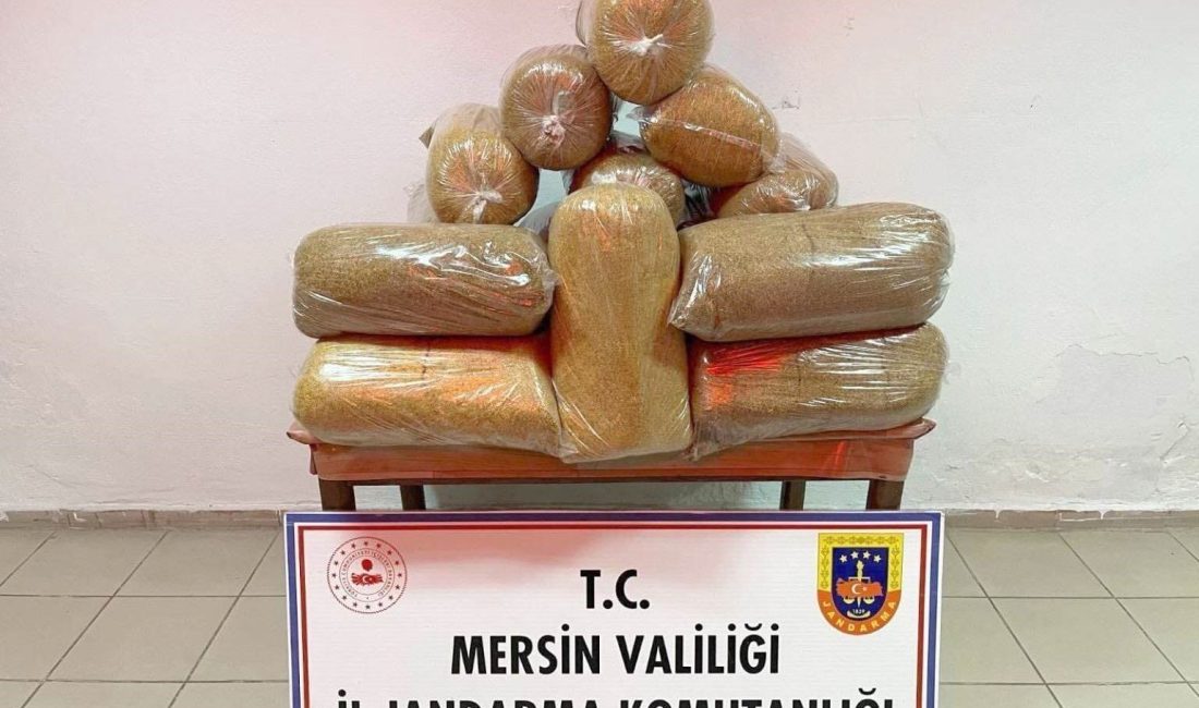 Mersin'de 100 kilo kaçak