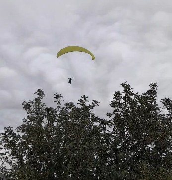 Mersin'de fidan dikimi yapan