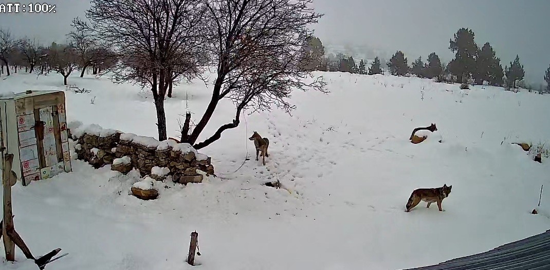 Mersin'in Bozyazı ilçesine bağlı