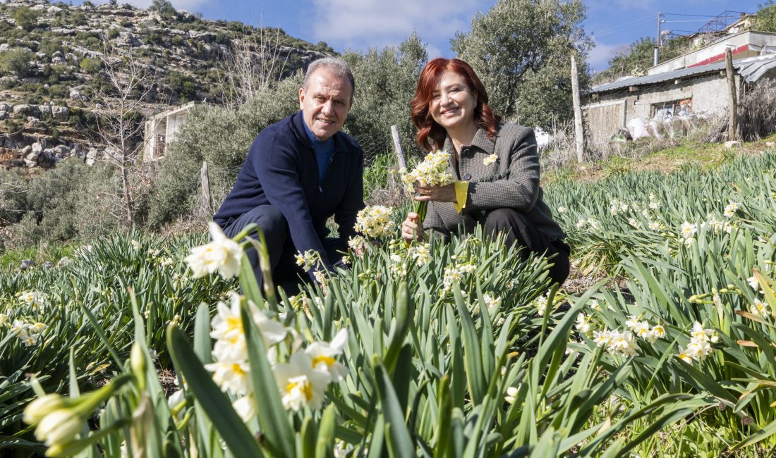 Mersin’de 4. Nergis Şenliği