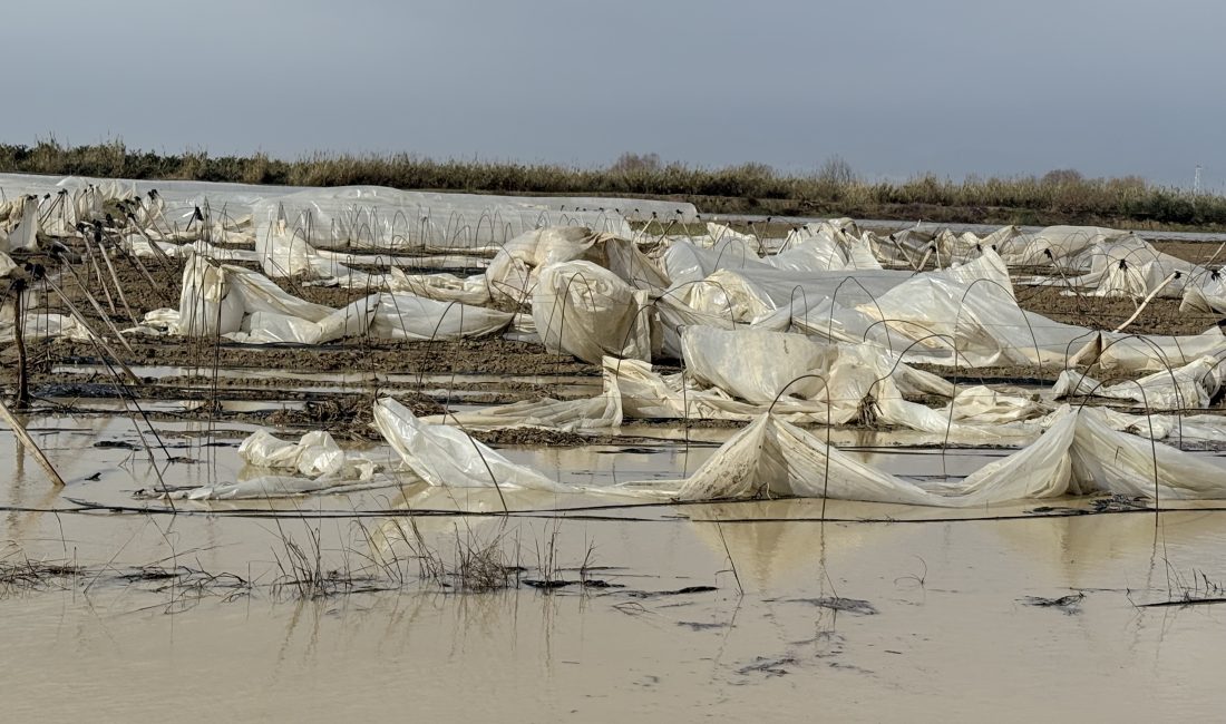 TARSUS’TA YAĞMUR VE FIRTINA