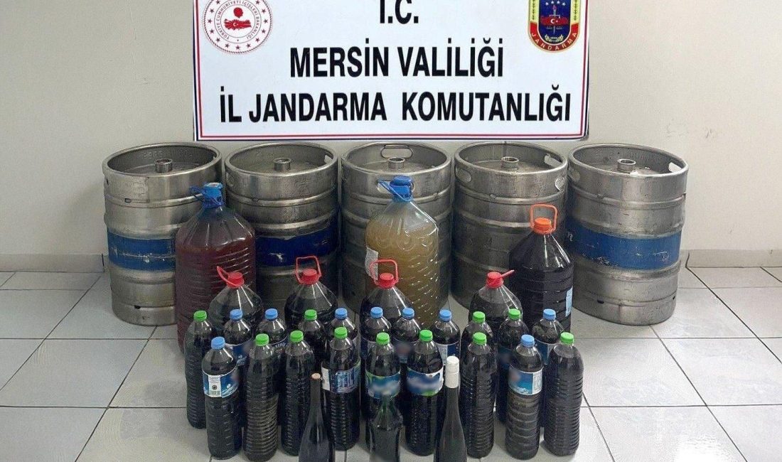 Mersin’de jandarma ekiplerince düzenlenen