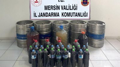 Mersin’de jandarma ekiplerince düzenlenen operasyonda