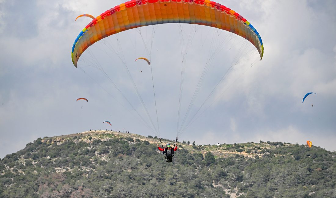 Mersin Büyükşehir Belediyesi; Toros