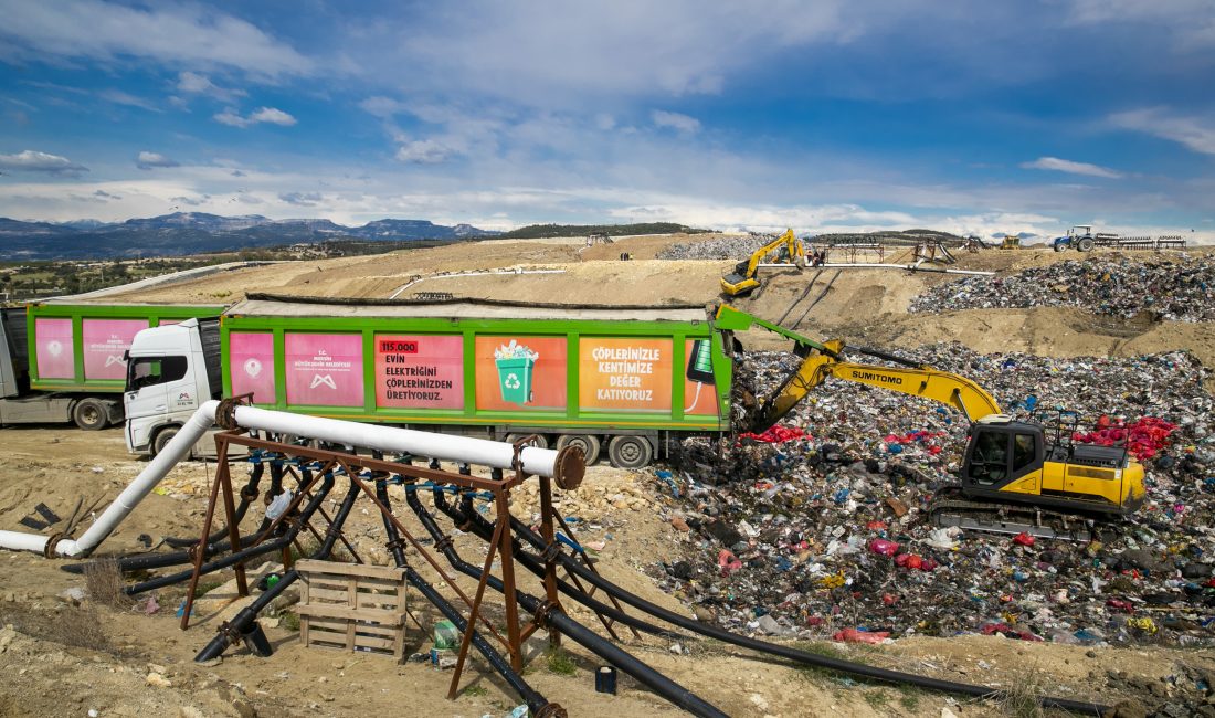 Mersin Büyükşehir Belediyesi; bünyesinde