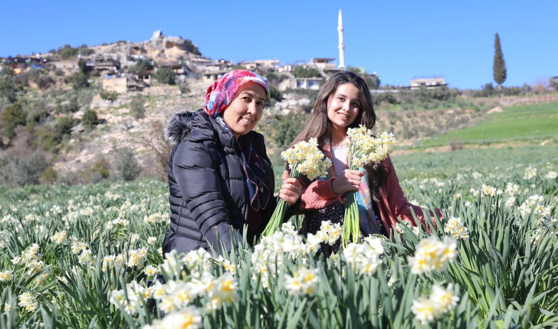 Mersin Büyükşehir Belediyesi’nin kırsal