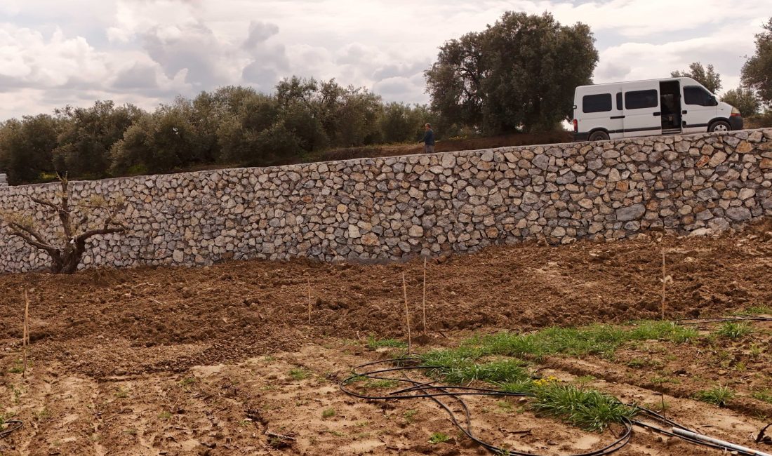 Tarsus Belediyesi, kent genelinde