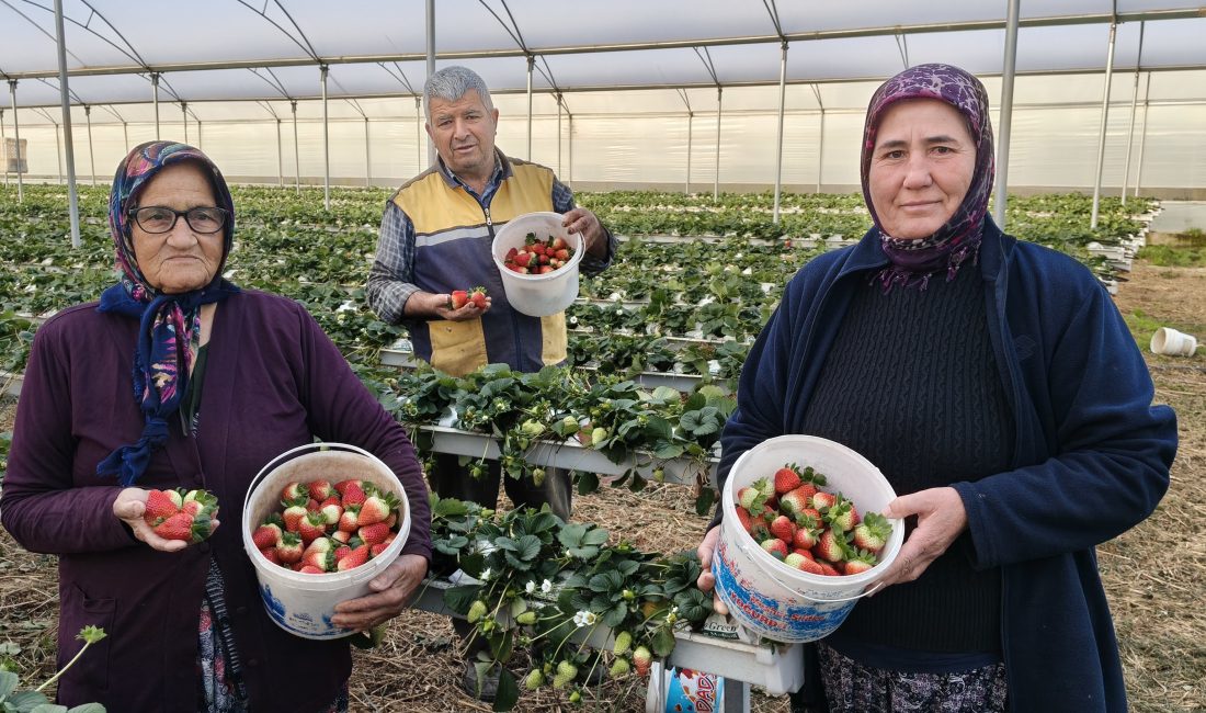 Mersin'in Silifke ilçesinde örtü