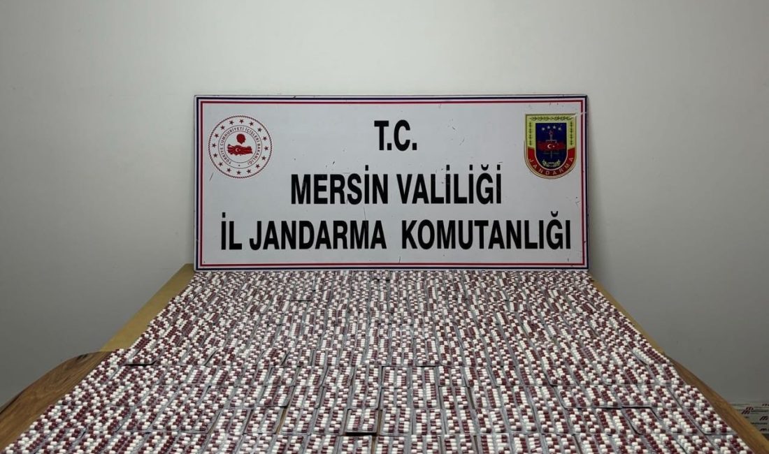  Mersin'de jandarma ekiplerinin