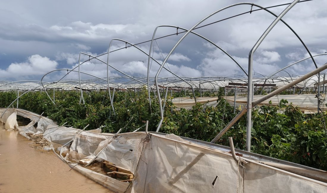 Mersin’in Silifke ilçesinde etkili