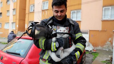  Mersin'in Toroslar ilçesinde çıkan