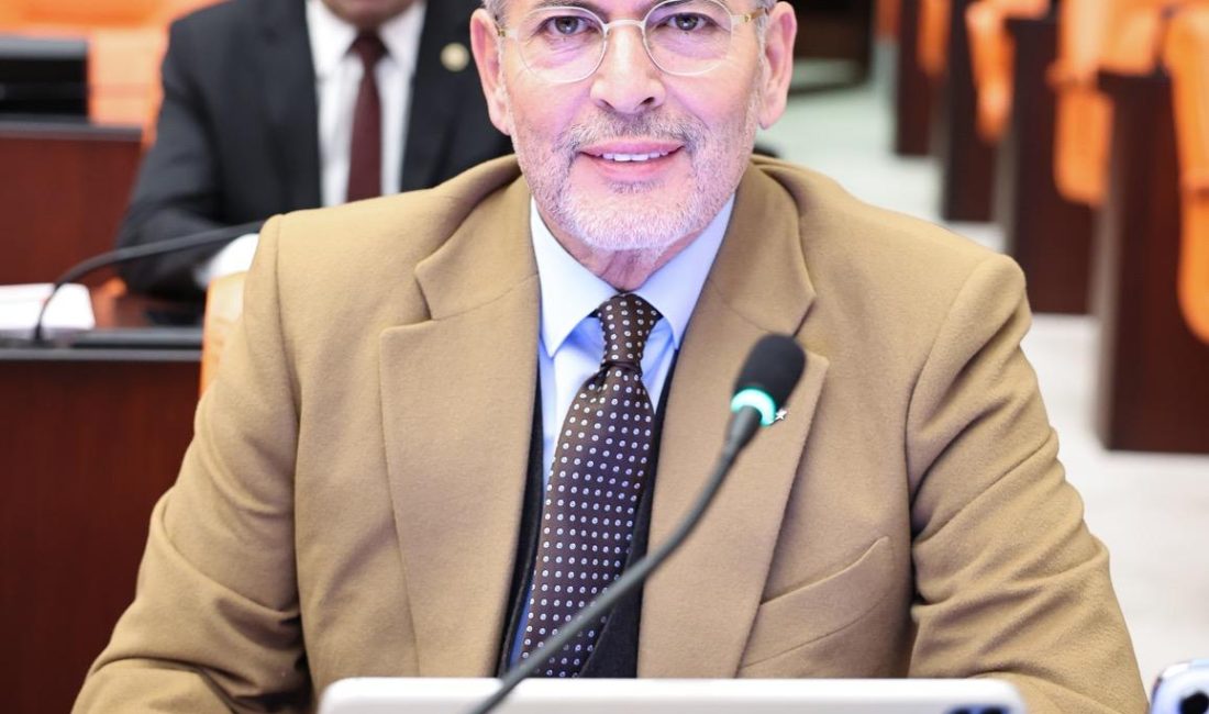 Milliyetçi Hareket Partisi Mersin