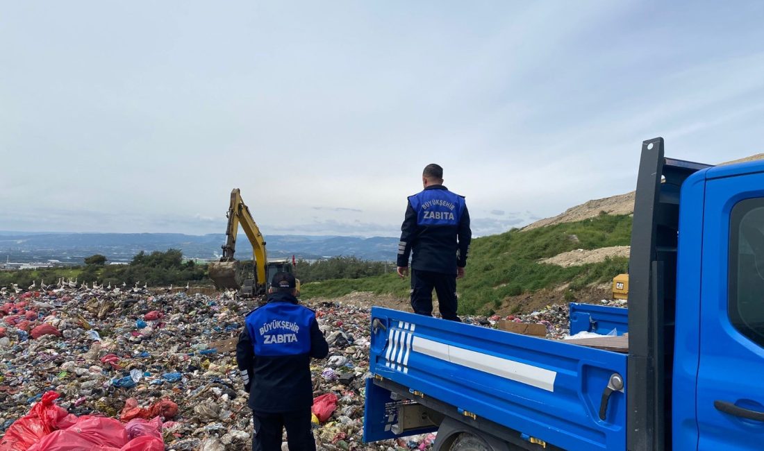 Mersin Büyükşehir Belediyesi Zabıta Daire