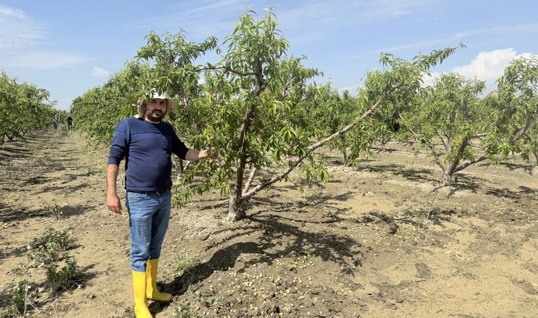 Türkiye genelinde bu yıl