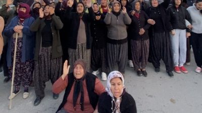 Mersin'de ormanlık alana oluşturulan narenciye