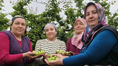 Mersin'in Silifke ilçesinde örtü altının