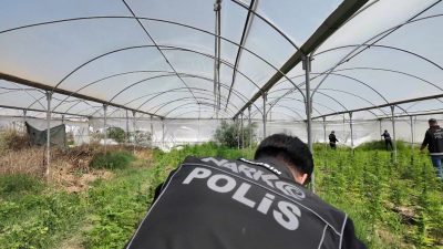 Mersin'in Tarsus ilçesinde düzenlenen operasyonda