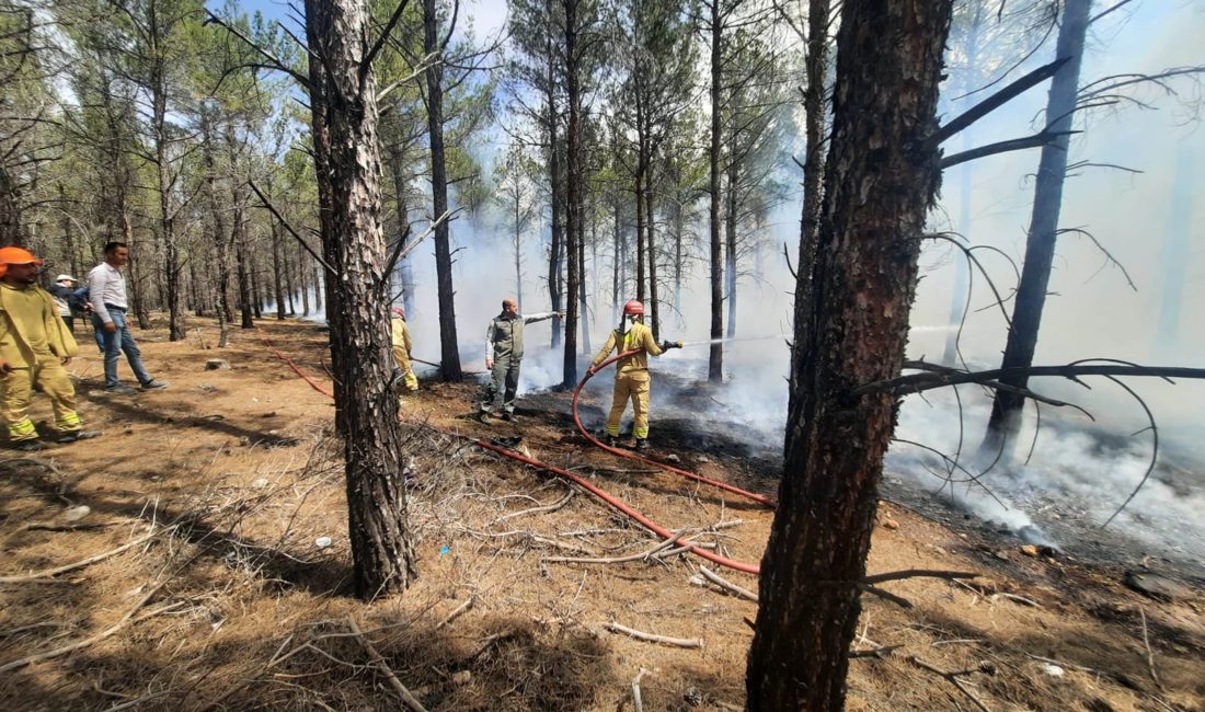 Mersin'in Mut ilçesinde tatbikat amaçlı